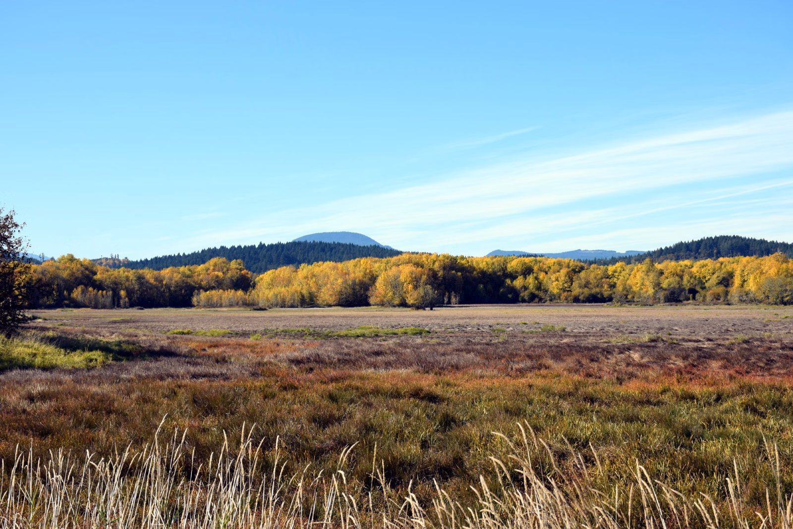 Wide fall landscape